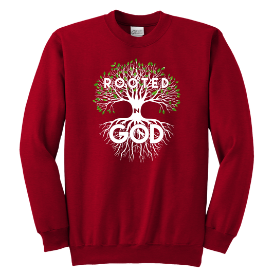Rooted in God Sweatshirts for the Youth