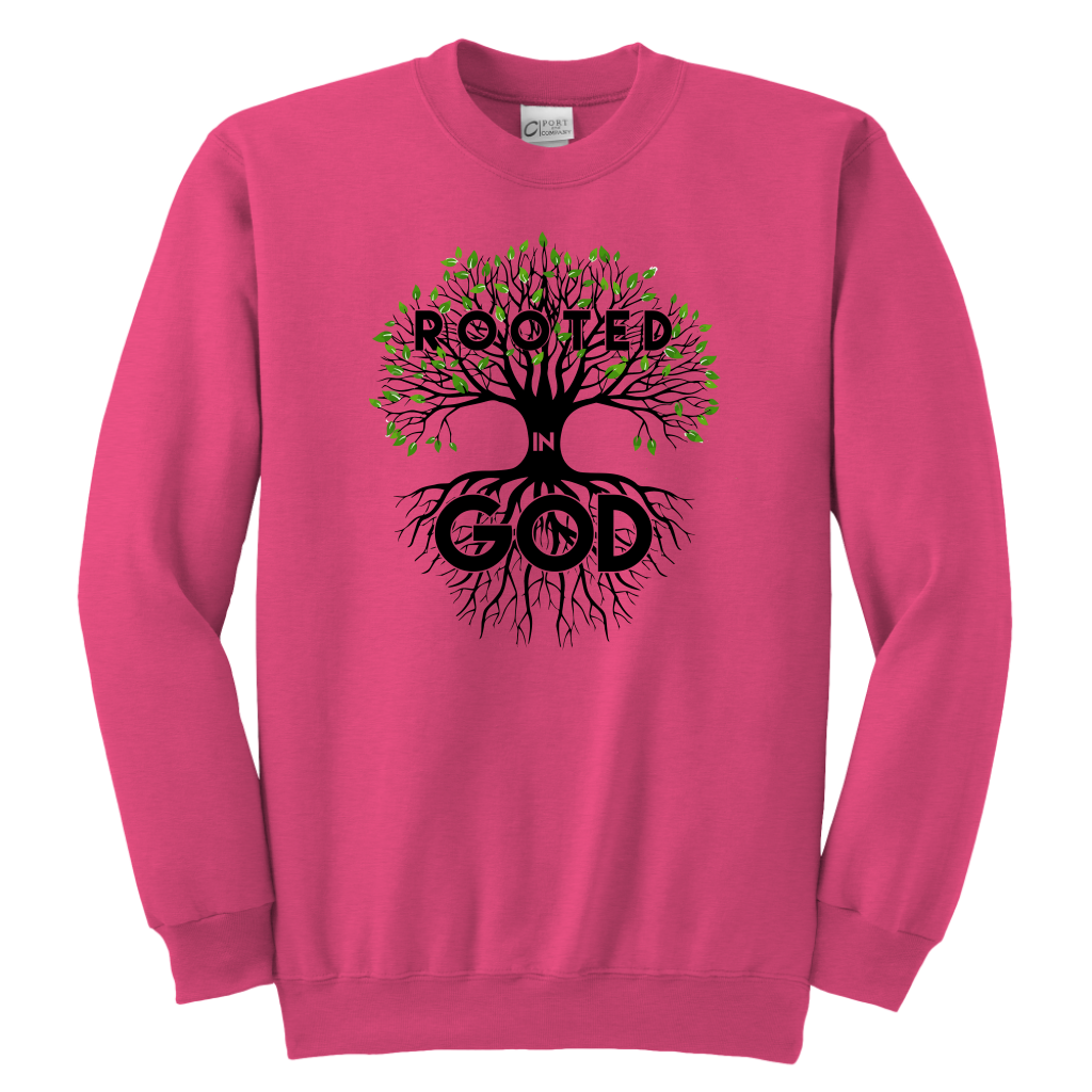 Rooted in God Sweatshirts for the Youth
