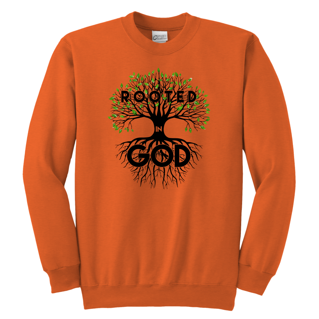 Rooted in God Sweatshirts for the Youth